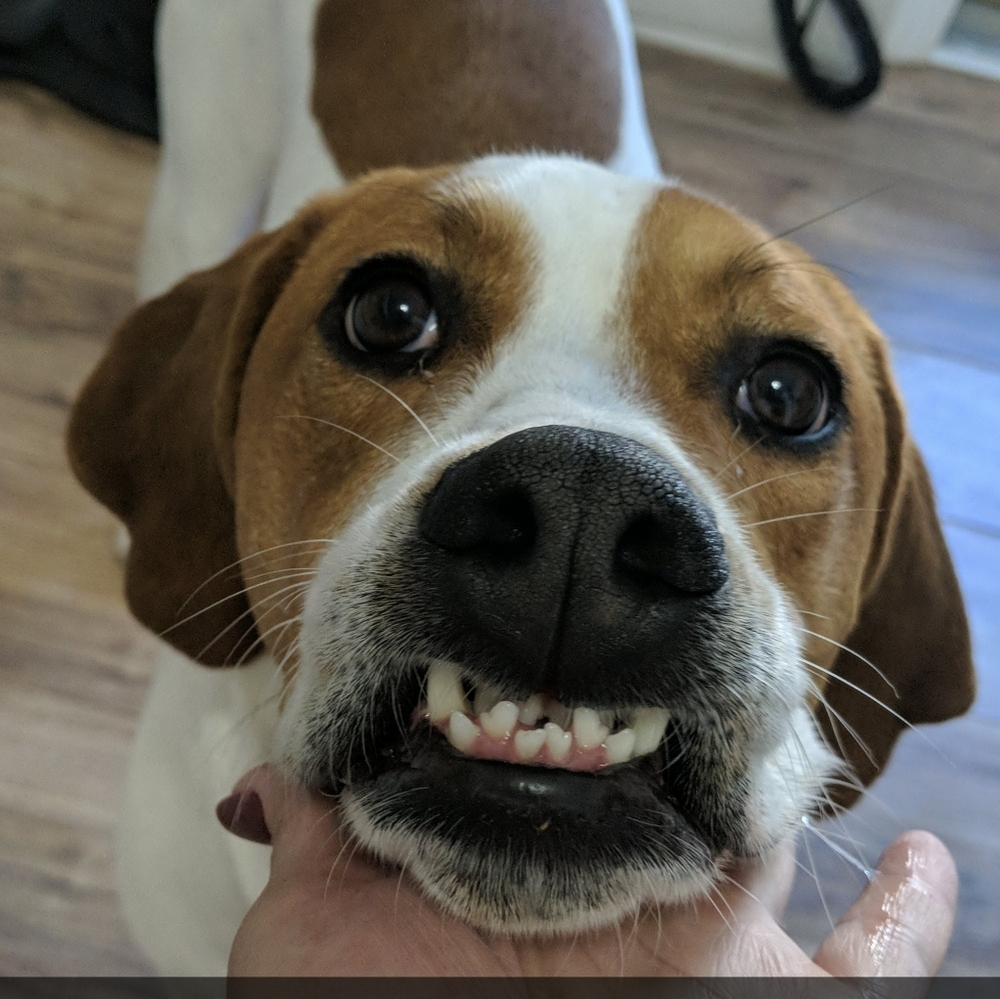 Meet your Posher, Felicia